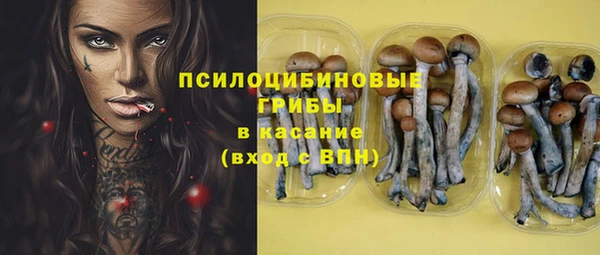 синтетический гашиш Новодвинск