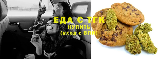 индика Апатиты