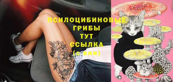 синтетический гашиш Новодвинск
