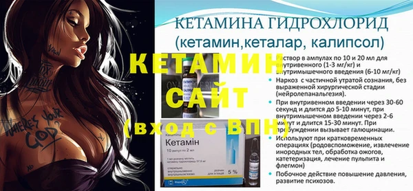 хмурый Новозыбков