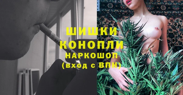 хмурый Новозыбков
