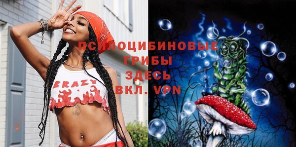 синтетический гашиш Новодвинск