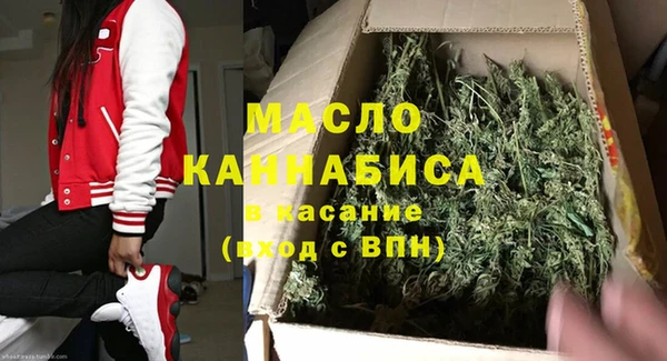 хмурый Новозыбков