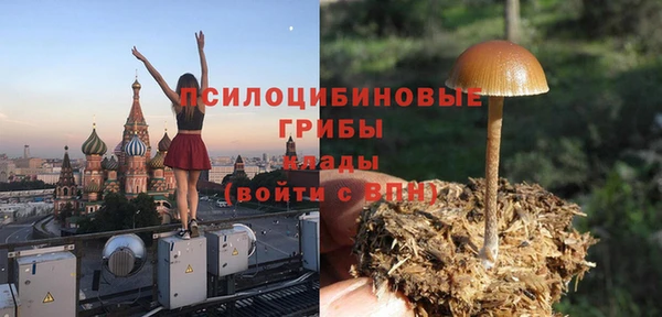 молекула духа Нефтегорск