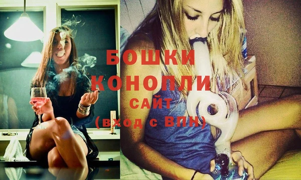 хмурый Новозыбков