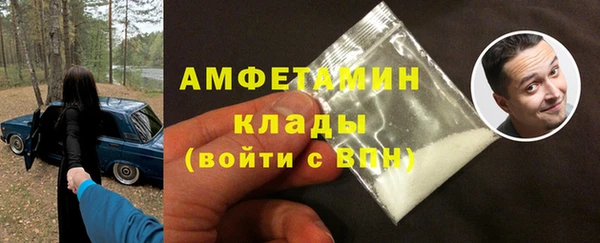 хмурый Новозыбков