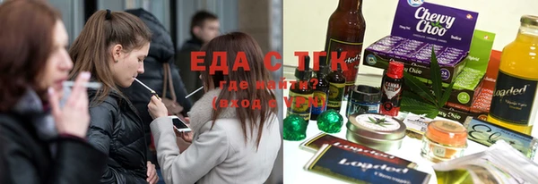 хмурый Новозыбков
