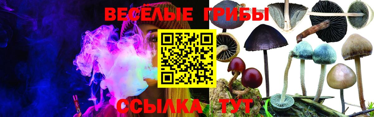 Псилоцибиновые грибы GOLDEN TEACHER Ярцево